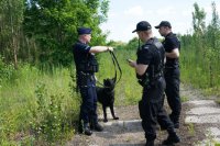 policjant z psem służbowym i dwoma policjantami uzgadnia zakres poszukiwań