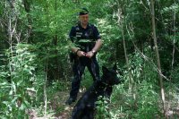 policjant z psem stoi w lesie