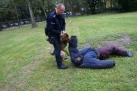 policjant trzyma psa, który ciągnie przestępcę